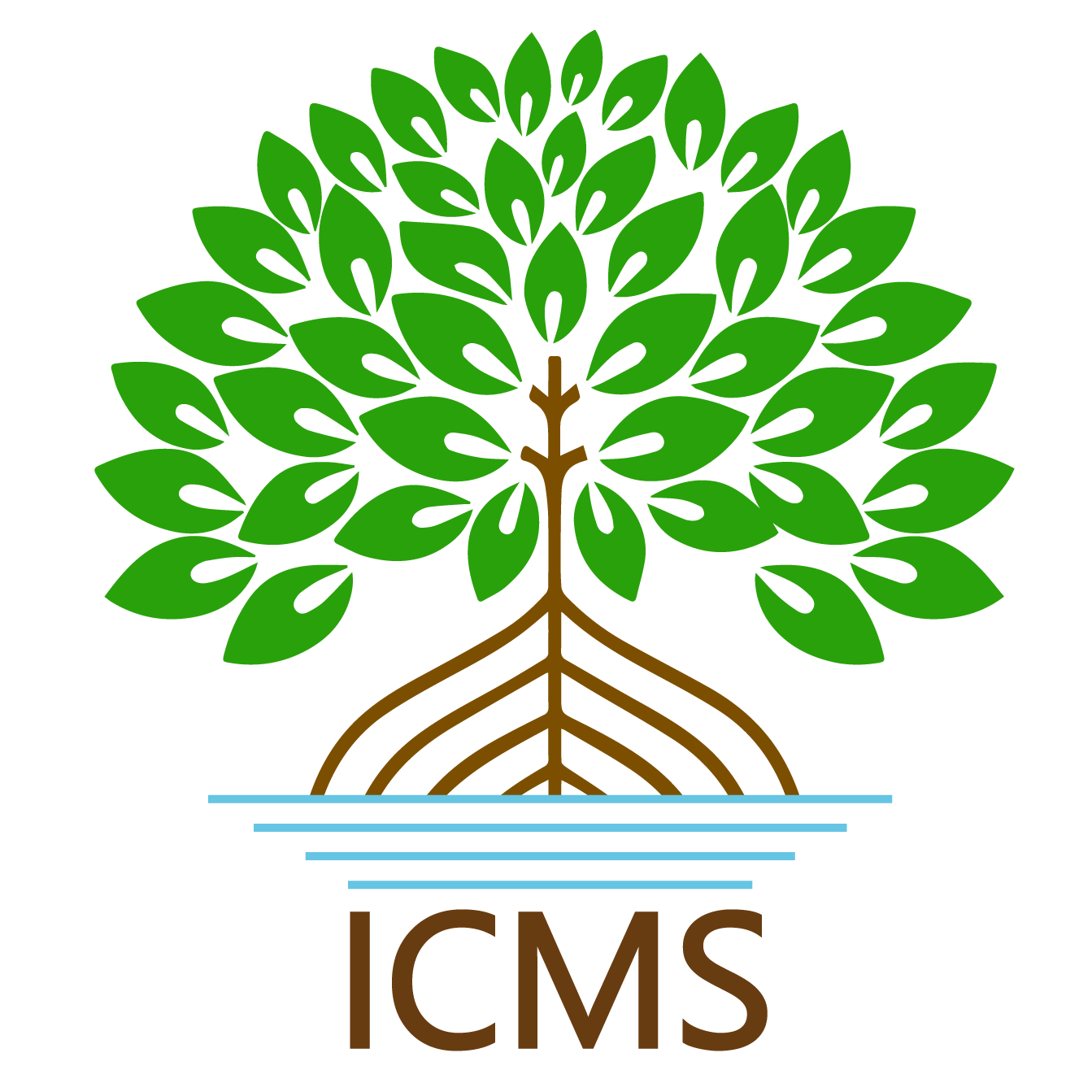 icms-05